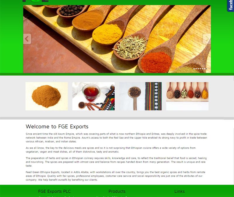 FGE Exports